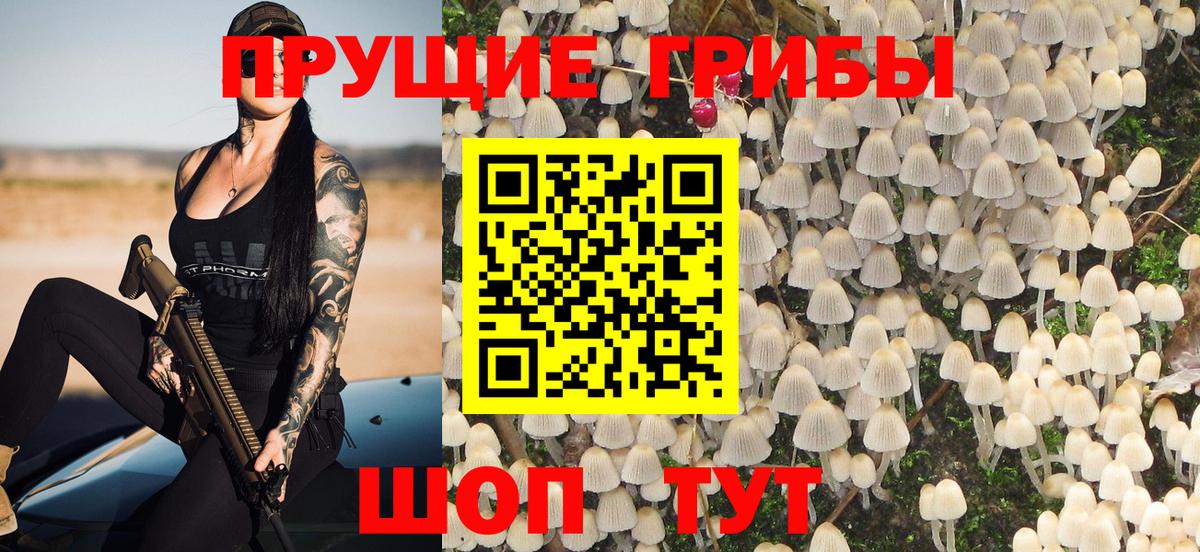 Советский  Псилоцибиновые грибы Magic Shrooms  Вход с VPN 