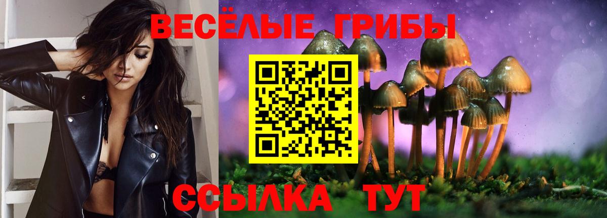 Псилоцибиновые грибы MAGIC MUSHROOMS Советский